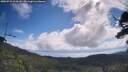 ./images/calvert/fitz-hugh-hecate/20250725/fitz-hugh-hecate20250725_094510M.jpg