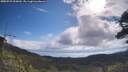 ./images/calvert/fitz-hugh-hecate/20250725/fitz-hugh-hecate20250725_095010M.jpg