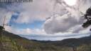 ./images/calvert/fitz-hugh-hecate/20250725/fitz-hugh-hecate20250725_100010M.jpg