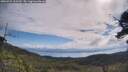 ./images/calvert/fitz-hugh-hecate/20250725/fitz-hugh-hecate20250725_103510M.jpg