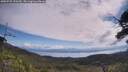 ./images/calvert/fitz-hugh-hecate/20250725/fitz-hugh-hecate20250725_110509M.jpg