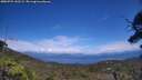 ./images/calvert/fitz-hugh-hecate/20250725/fitz-hugh-hecate20250725_142509M.jpg