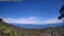 ./images/calvert/fitz-hugh-hecate/20250725/fitz-hugh-hecate20250725_143010M.jpg