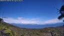 ./images/calvert/fitz-hugh-hecate/20250725/fitz-hugh-hecate20250725_144510M.jpg