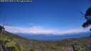 ./images/calvert/fitz-hugh-hecate/20250725/fitz-hugh-hecate20250725_150509M.jpg