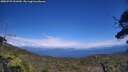 ./images/calvert/fitz-hugh-hecate/20250725/fitz-hugh-hecate20250725_151010M.jpg