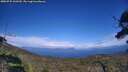 ./images/calvert/fitz-hugh-hecate/20250725/fitz-hugh-hecate20250725_160509M.jpg
