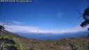 ./images/calvert/fitz-hugh-hecate/20250725/fitz-hugh-hecate20250725_162510M.jpg