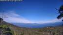 ./images/calvert/fitz-hugh-hecate/20250725/fitz-hugh-hecate20250725_164509M.jpg