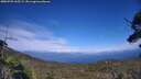 ./images/calvert/fitz-hugh-hecate/20250725/fitz-hugh-hecate20250725_165509M.jpg