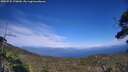 ./images/calvert/fitz-hugh-hecate/20250725/fitz-hugh-hecate20250725_170010M.jpg