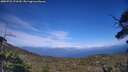 ./images/calvert/fitz-hugh-hecate/20250725/fitz-hugh-hecate20250725_173510M.jpg