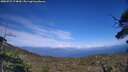 ./images/calvert/fitz-hugh-hecate/20250725/fitz-hugh-hecate20250725_174010M.jpg