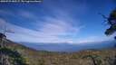 ./images/calvert/fitz-hugh-hecate/20250725/fitz-hugh-hecate20250725_180507M.jpg