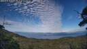 ./images/calvert/fitz-hugh-hecate/20250725/fitz-hugh-hecate20250725_192008M.jpg