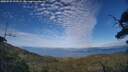 ./images/calvert/fitz-hugh-hecate/20250725/fitz-hugh-hecate20250725_192509M.jpg