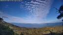 ./images/calvert/fitz-hugh-hecate/20250725/fitz-hugh-hecate20250725_193009M.jpg