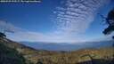 ./images/calvert/fitz-hugh-hecate/20250725/fitz-hugh-hecate20250725_193507M.jpg