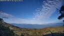 ./images/calvert/fitz-hugh-hecate/20250725/fitz-hugh-hecate20250725_194008M.jpg