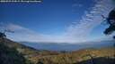 ./images/calvert/fitz-hugh-hecate/20250725/fitz-hugh-hecate20250725_194509M.jpg