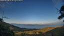 ./images/calvert/fitz-hugh-hecate/20250725/fitz-hugh-hecate20250725_204009M.jpg