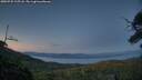 ./images/calvert/fitz-hugh-hecate/20250725/fitz-hugh-hecate20250725_215508M.jpg