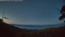 ./images/calvert/fitz-hugh-hecate/20250725/fitz-hugh-hecate20250725_221508M.jpg