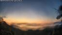 ./images/calvert/fitz-hugh-hecate/20250726/fitz-hugh-hecate20250726_052507M.jpg