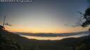 ./images/calvert/fitz-hugh-hecate/20250726/fitz-hugh-hecate20250726_055507M.jpg