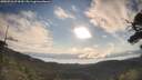 ./images/calvert/fitz-hugh-hecate/20250726/fitz-hugh-hecate20250726_074510M.jpg