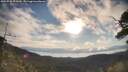 ./images/calvert/fitz-hugh-hecate/20250726/fitz-hugh-hecate20250726_075010M.jpg