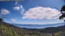 ./images/calvert/fitz-hugh-hecate/20250726/fitz-hugh-hecate20250726_105507M.jpg