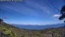 ./images/calvert/fitz-hugh-hecate/20250726/fitz-hugh-hecate20250726_142507M.jpg