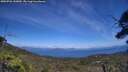 ./images/calvert/fitz-hugh-hecate/20250726/fitz-hugh-hecate20250726_143010M.jpg