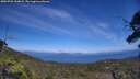 ./images/calvert/fitz-hugh-hecate/20250726/fitz-hugh-hecate20250726_144008M.jpg