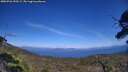 ./images/calvert/fitz-hugh-hecate/20250726/fitz-hugh-hecate20250726_153508M.jpg
