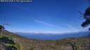 ./images/calvert/fitz-hugh-hecate/20250726/fitz-hugh-hecate20250726_154507M.jpg