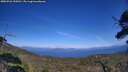 ./images/calvert/fitz-hugh-hecate/20250726/fitz-hugh-hecate20250726_155010M.jpg