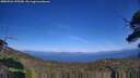 ./images/calvert/fitz-hugh-hecate/20250726/fitz-hugh-hecate20250726_155510M.jpg