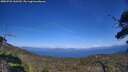 ./images/calvert/fitz-hugh-hecate/20250726/fitz-hugh-hecate20250726_160509M.jpg