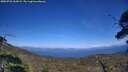 ./images/calvert/fitz-hugh-hecate/20250726/fitz-hugh-hecate20250726_162009M.jpg