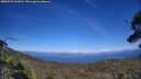 ./images/calvert/fitz-hugh-hecate/20250726/fitz-hugh-hecate20250726_165010M.jpg
