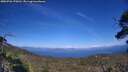 ./images/calvert/fitz-hugh-hecate/20250726/fitz-hugh-hecate20250726_170012M.jpg