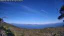 ./images/calvert/fitz-hugh-hecate/20250726/fitz-hugh-hecate20250726_170508M.jpg