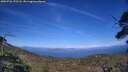 ./images/calvert/fitz-hugh-hecate/20250726/fitz-hugh-hecate20250726_172507M.jpg