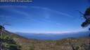 ./images/calvert/fitz-hugh-hecate/20250726/fitz-hugh-hecate20250726_173010M.jpg