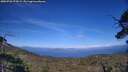 ./images/calvert/fitz-hugh-hecate/20250726/fitz-hugh-hecate20250726_174509M.jpg