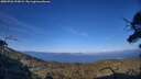 ./images/calvert/fitz-hugh-hecate/20250726/fitz-hugh-hecate20250726_193008M.jpg