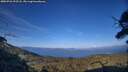 ./images/calvert/fitz-hugh-hecate/20250726/fitz-hugh-hecate20250726_193508M.jpg