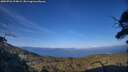./images/calvert/fitz-hugh-hecate/20250726/fitz-hugh-hecate20250726_194009M.jpg